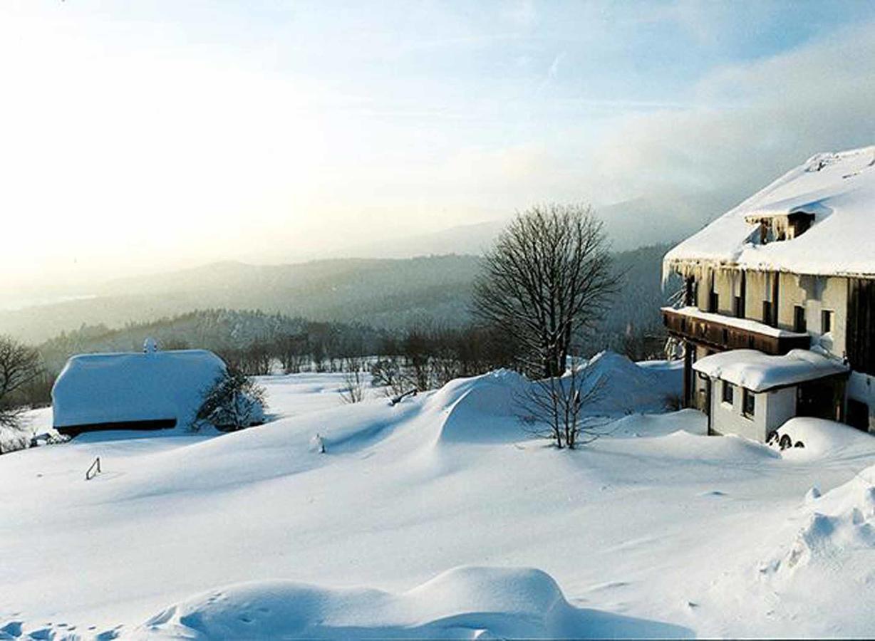 Pension Draxlerhof Нойшёнау Экстерьер фото