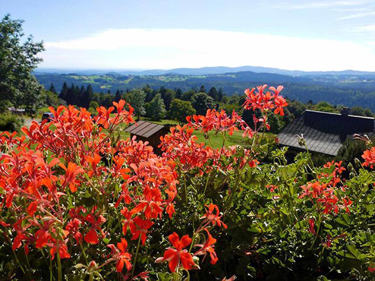 Pension Draxlerhof Нойшёнау Экстерьер фото