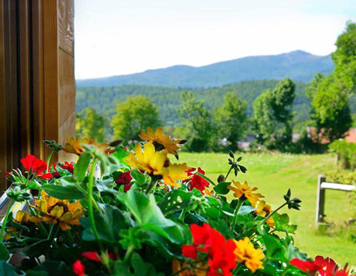 Pension Draxlerhof Нойшёнау Экстерьер фото