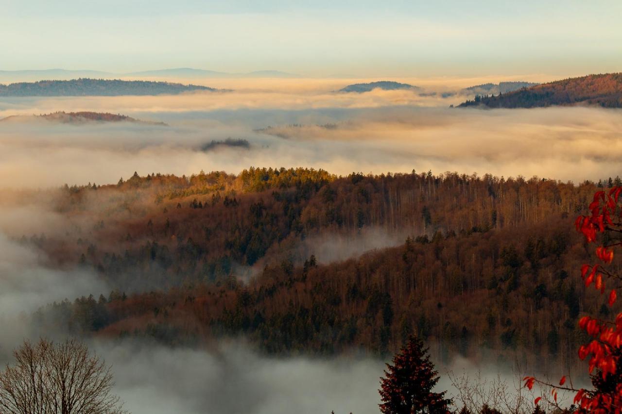 Pension Draxlerhof Нойшёнау Экстерьер фото