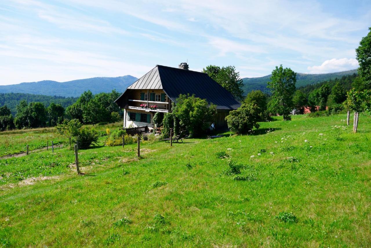 Pension Draxlerhof Нойшёнау Экстерьер фото
