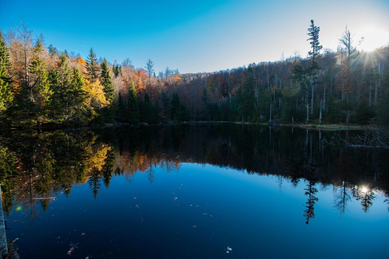 Pension Draxlerhof Нойшёнау Экстерьер фото